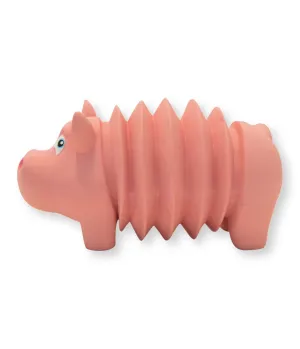 Accordionz Pig