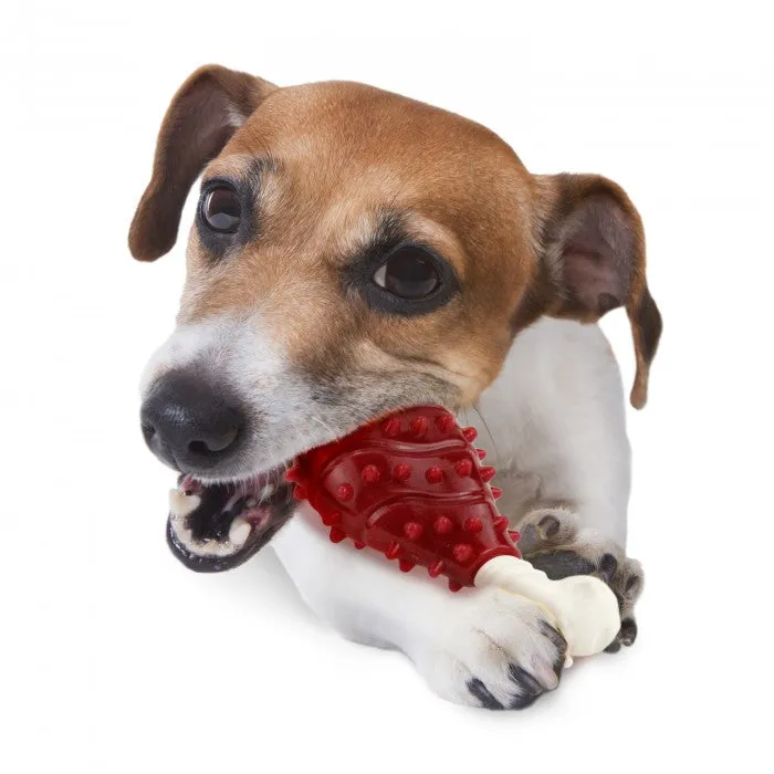 All For Paws Grilled Chicken Leg Chew Dog Toy