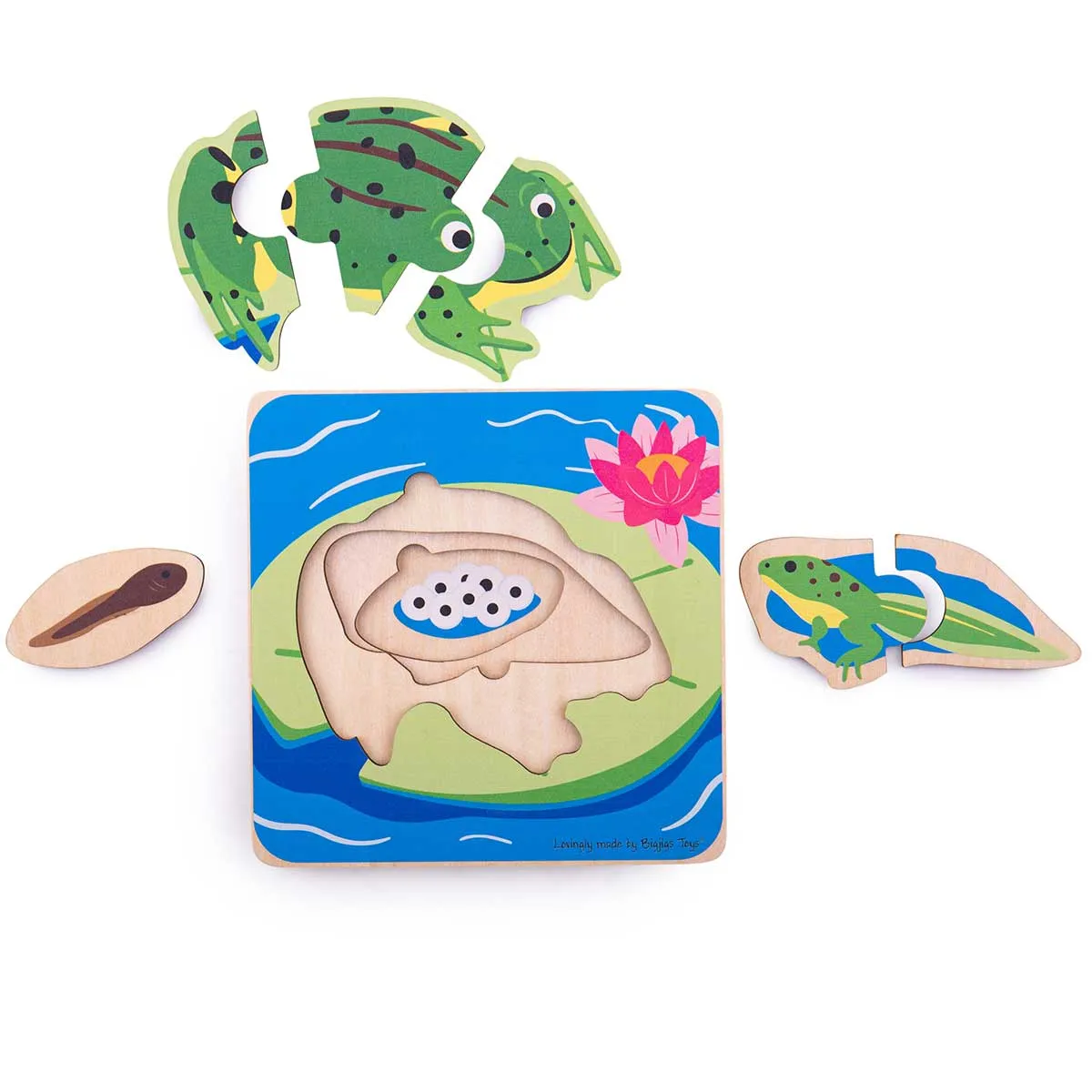 Bigjigs Toys Lifecycle Puzzle Frog