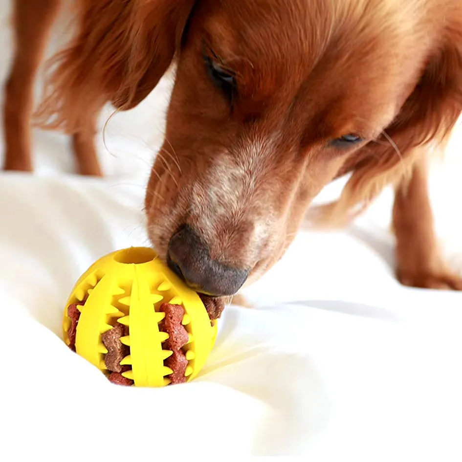 Chew & Treat Ball for Dogs