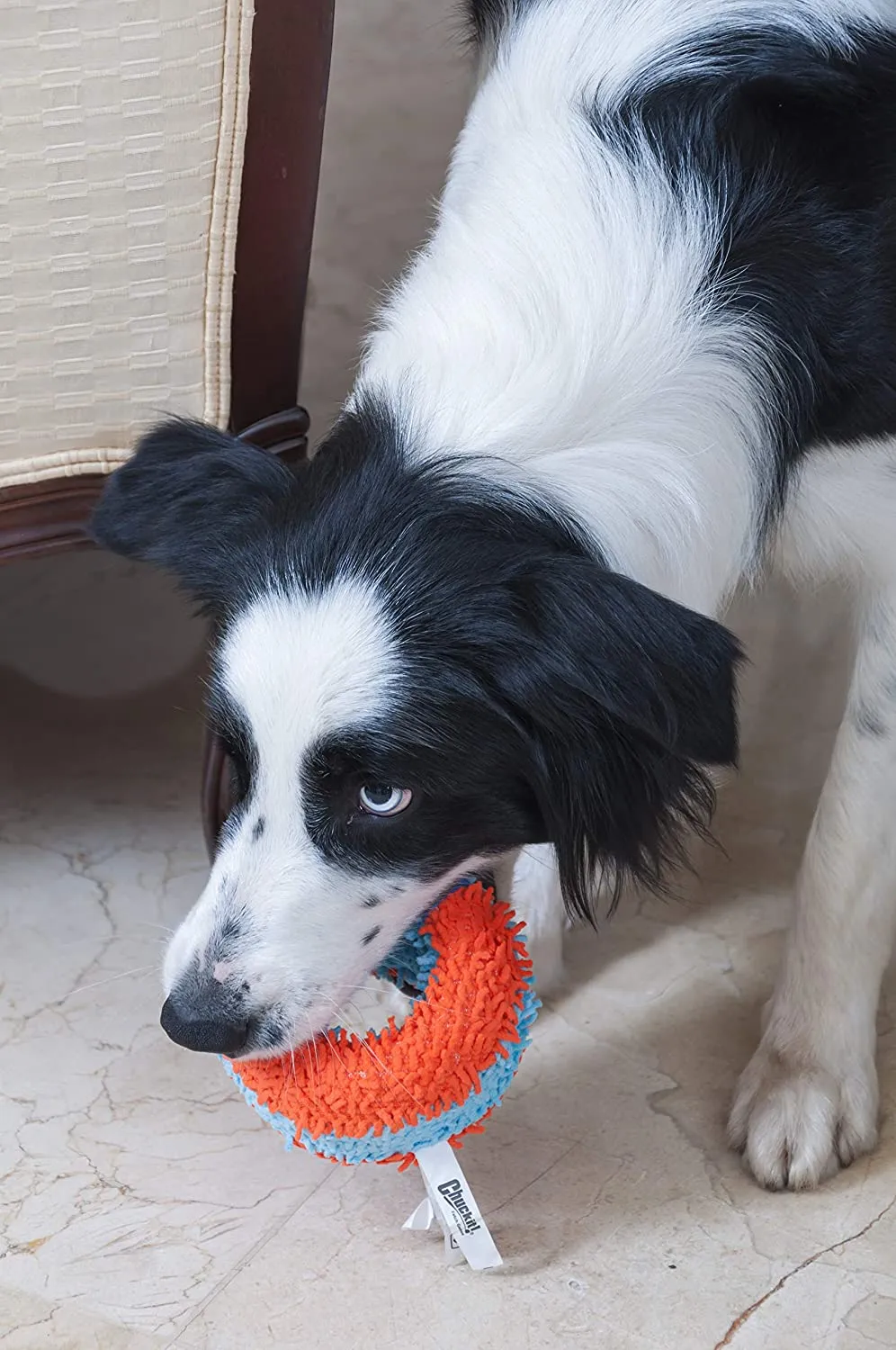 Chuckit! Indoor Roller