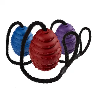 Classic Rubber Oval Ball on a Rope Dog Toy