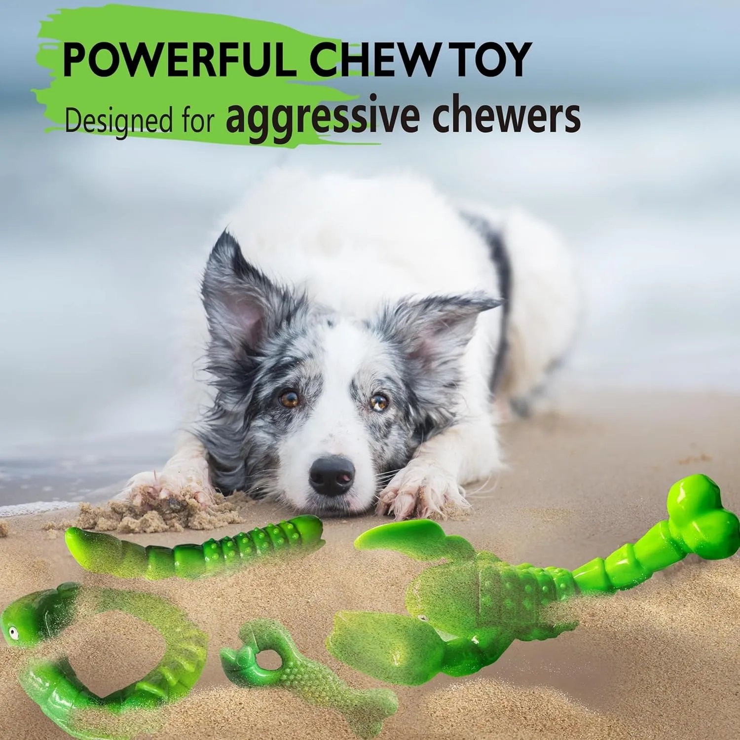 Dog Chew Toys for Aggressive Chewers