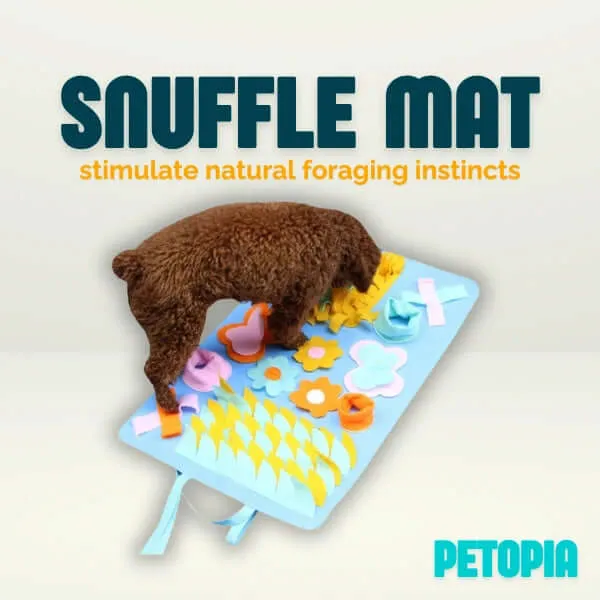 Dog Snuffle Mat Training Pad