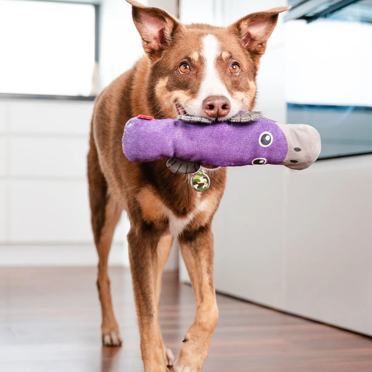 Durables Pam The Platypus Dog Toy