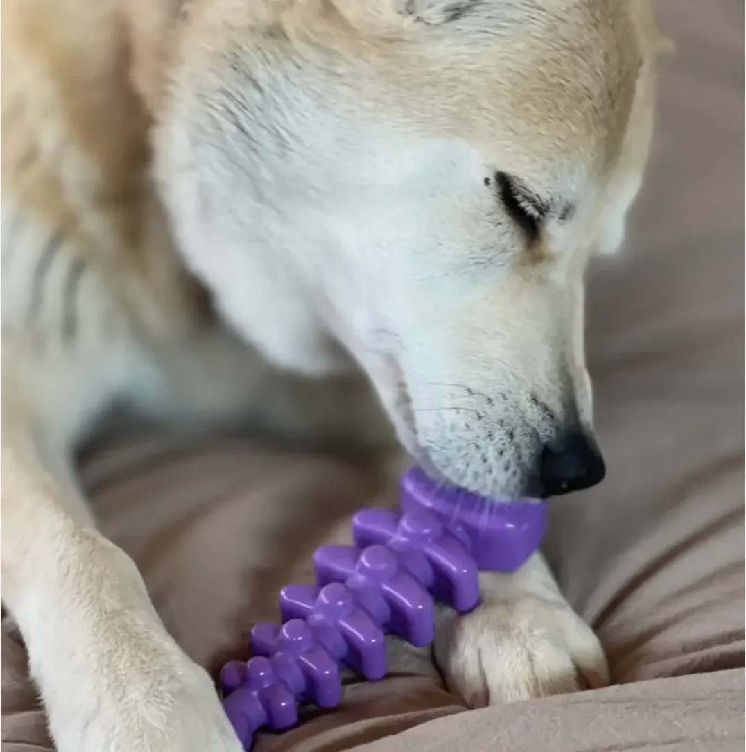 FISH BONE ULTRA DURABLE NYLON CHEW DOG TOY