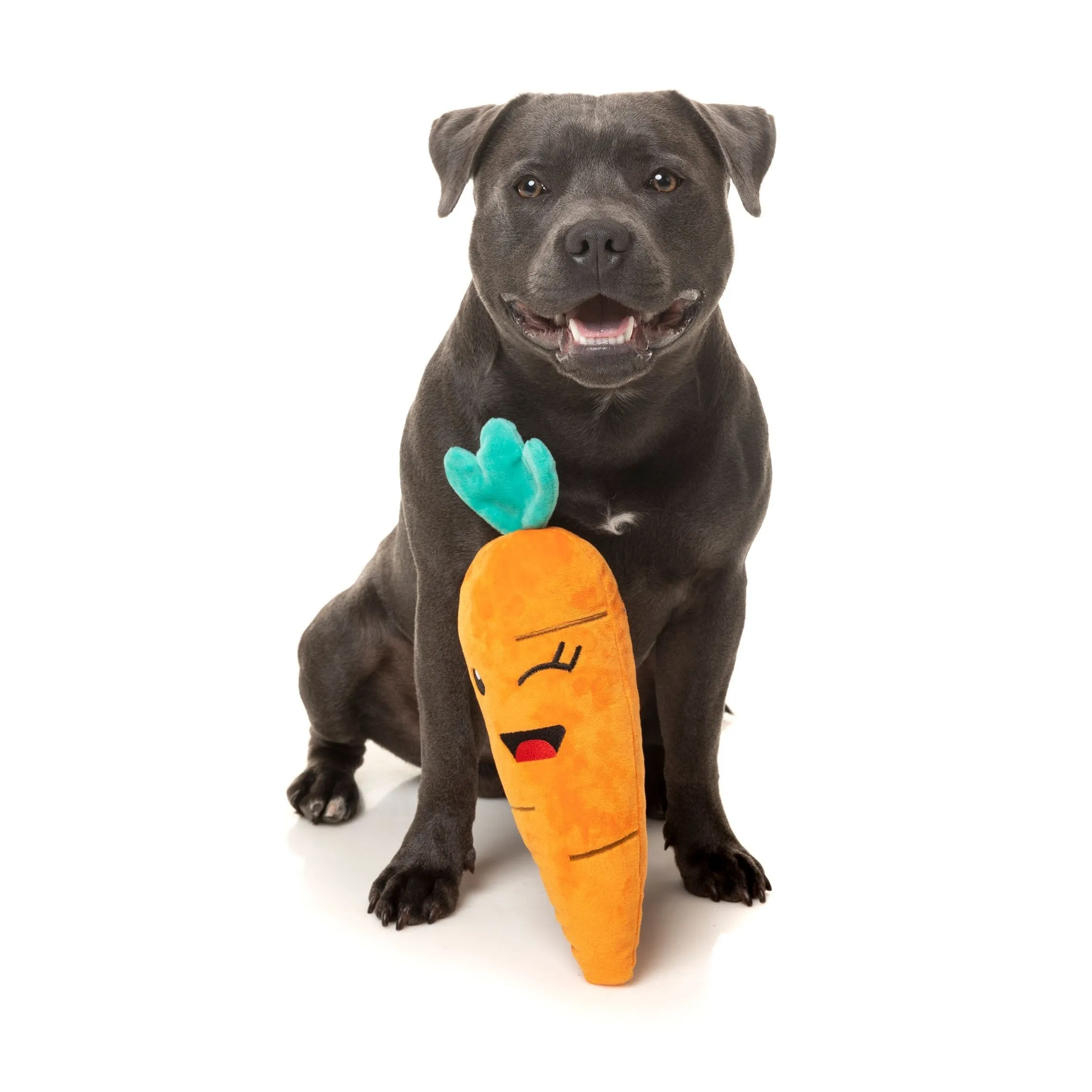 FuzzYard Dog Toy Winky Carrot