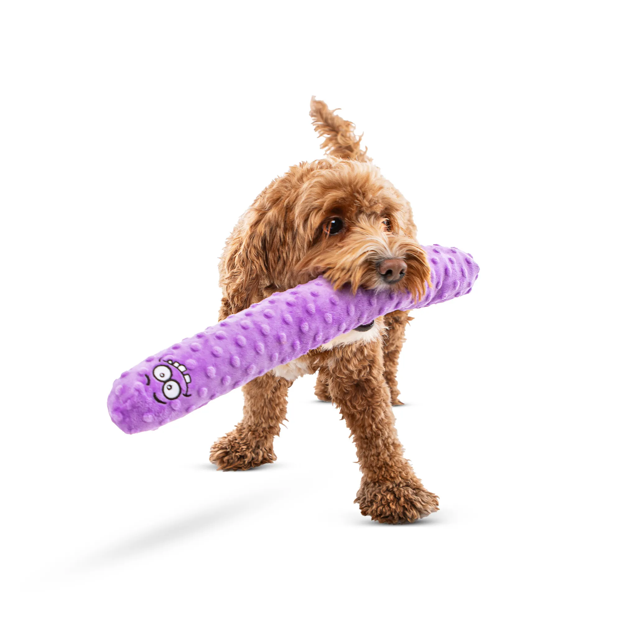 GURU Fry Guys Andy Dog Toy