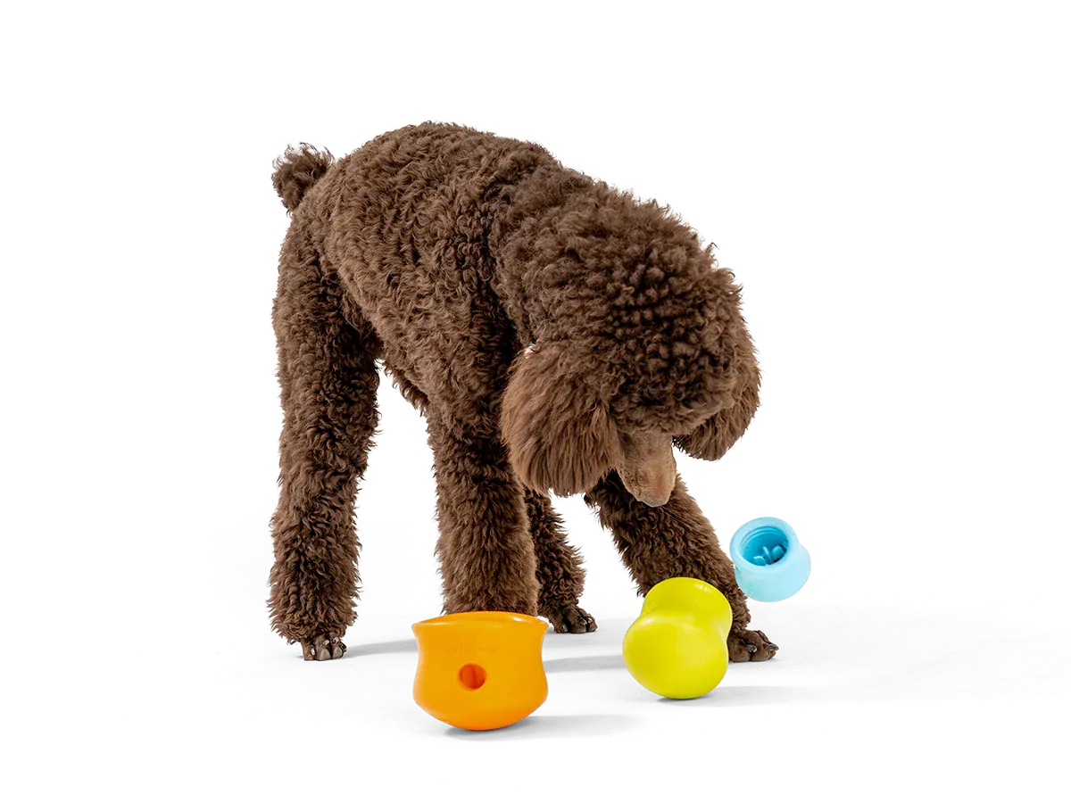 Interactive puzzle, food-dispensing dog toy, Zogoflex Toppl