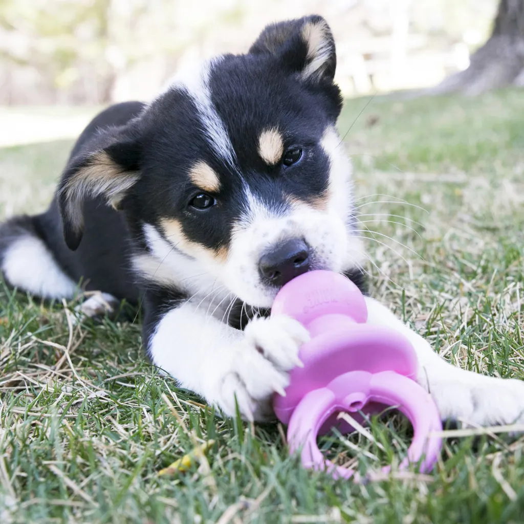 Kong Binkie Puppy Dog Chew Toy - (assorted colors)