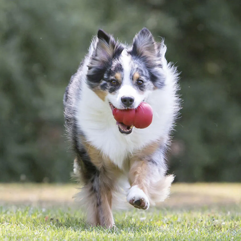 Kong Classic Toy For Dogs