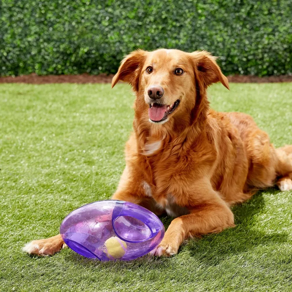 Kong Jumbler Football Toy for Dogs (Orange)