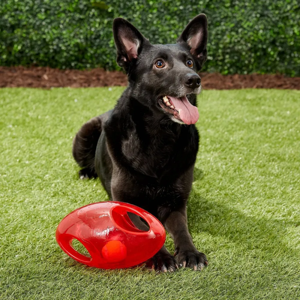 Kong Jumbler Football Toy for Dogs (Orange)