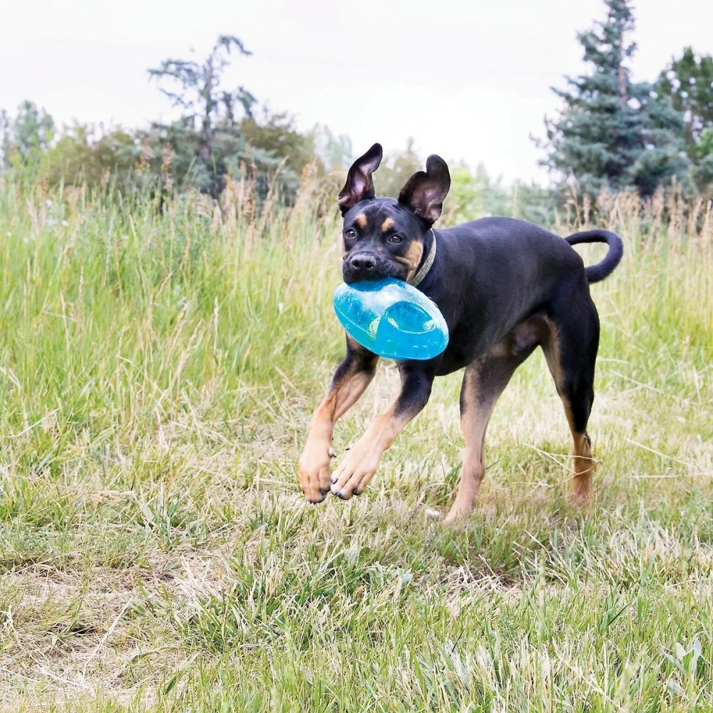 Kong Jumbler Football Toy for Dogs (Orange)