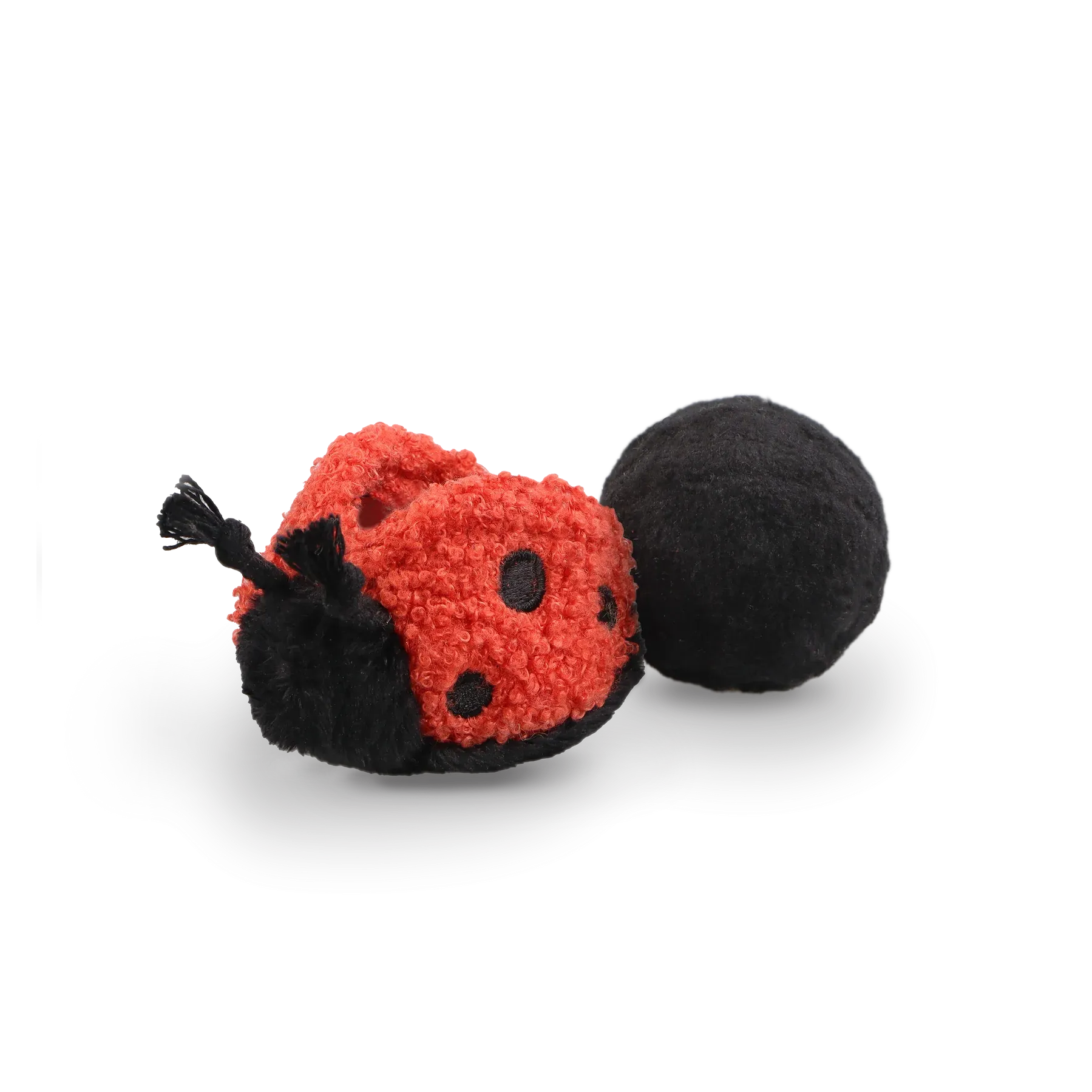 Lambwolf LADYBUG POP with Squeaky and Bouncy