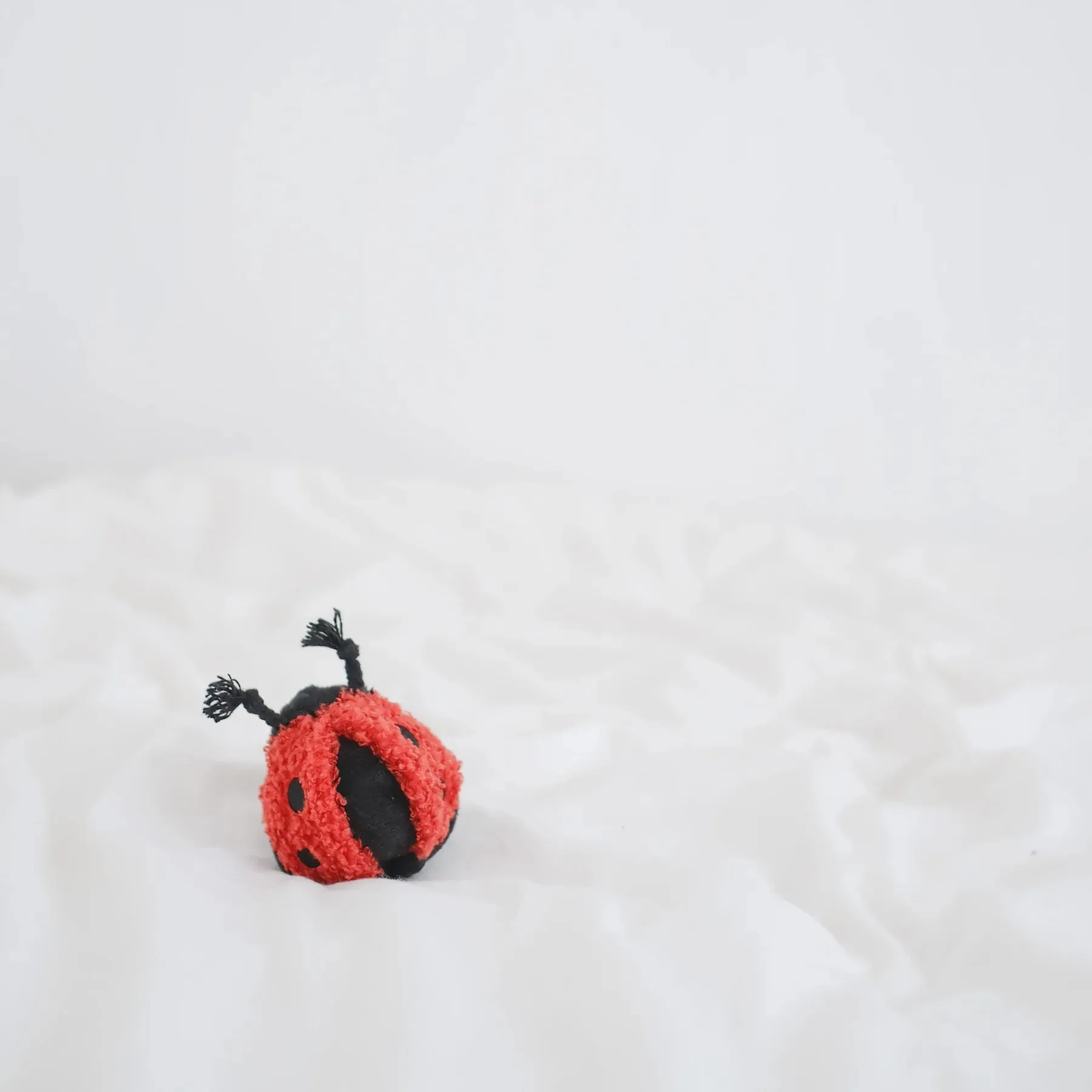 Lambwolf LADYBUG POP with Squeaky and Bouncy