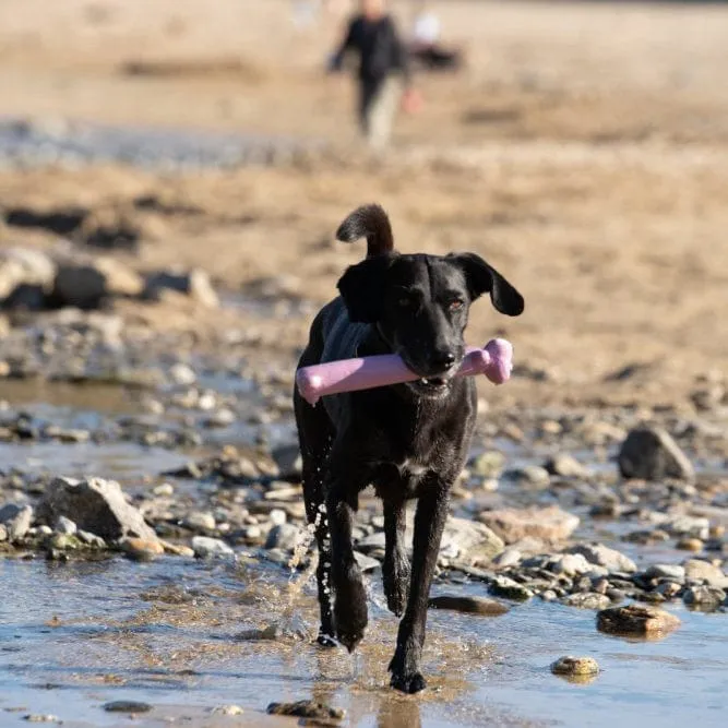 Latex Loofah Dog Toy: The Ultimate Fetch and Chew Toy for Hours of Fun