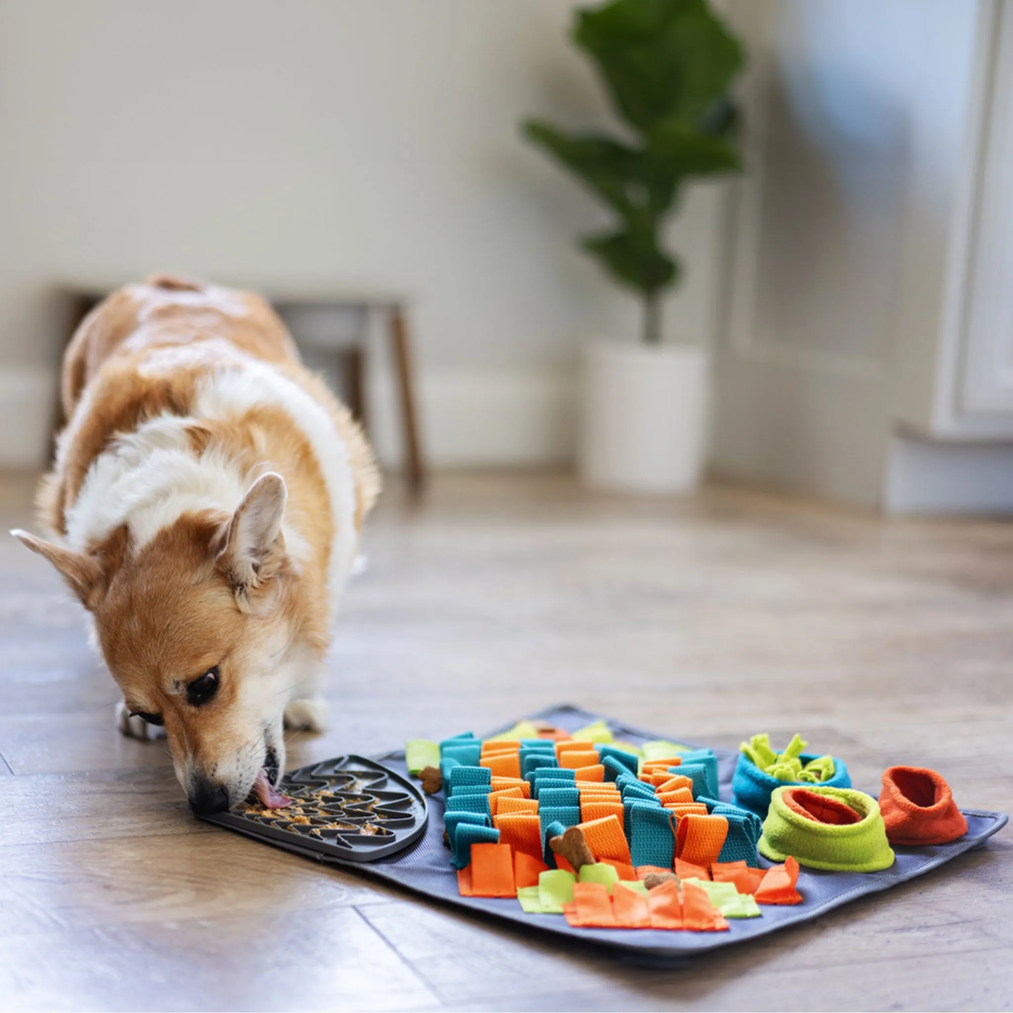 Messy Mutts Square Forage Mat