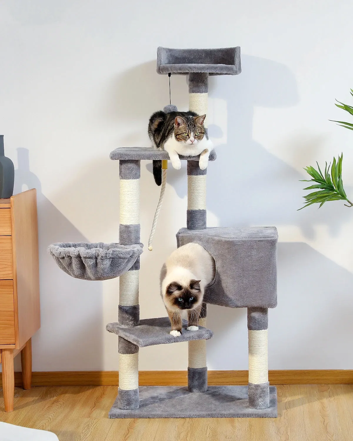 Multi-Level Cat Tree with Condo and Scratching Posts