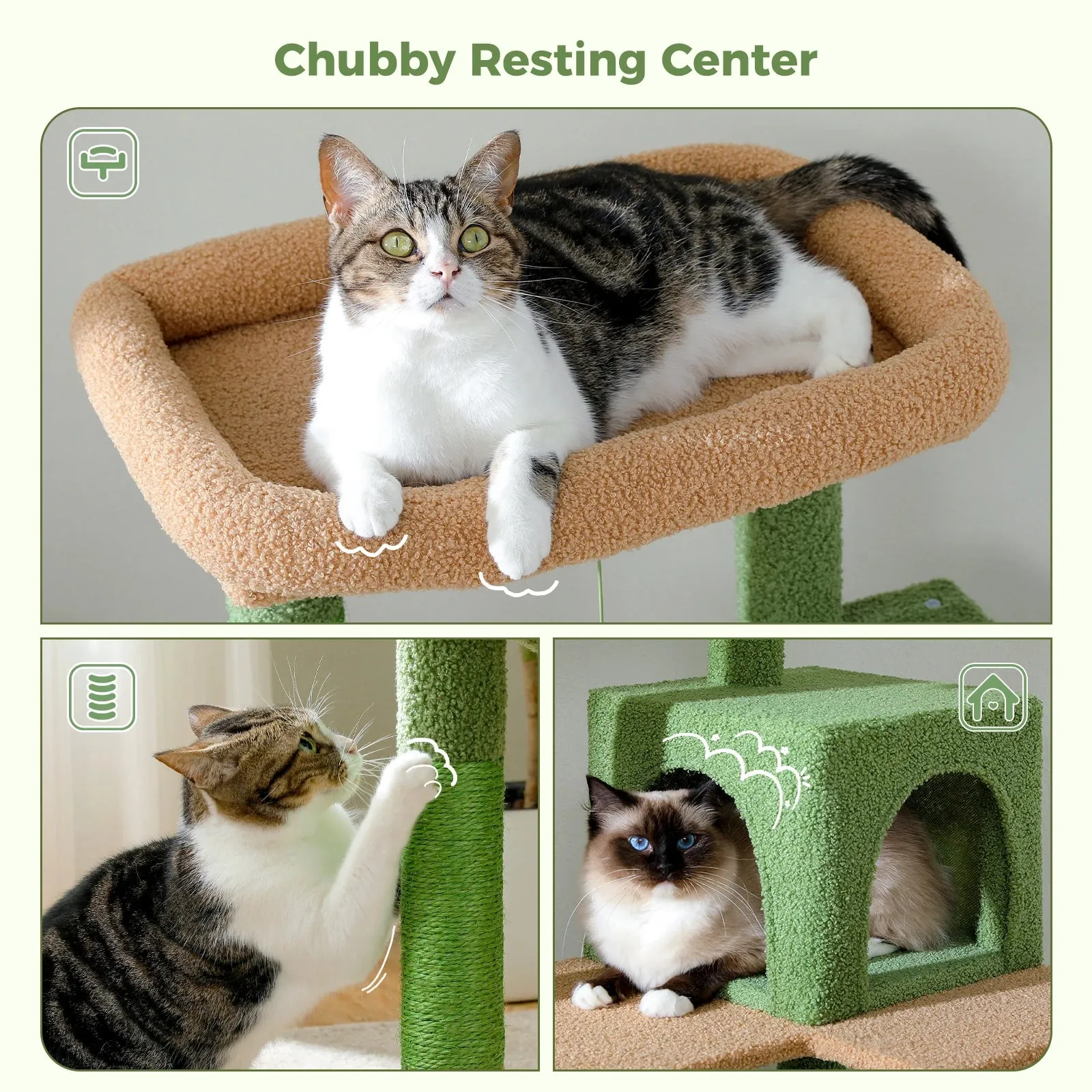 Multi-Level Cat Tree with Condo and Scratching Posts