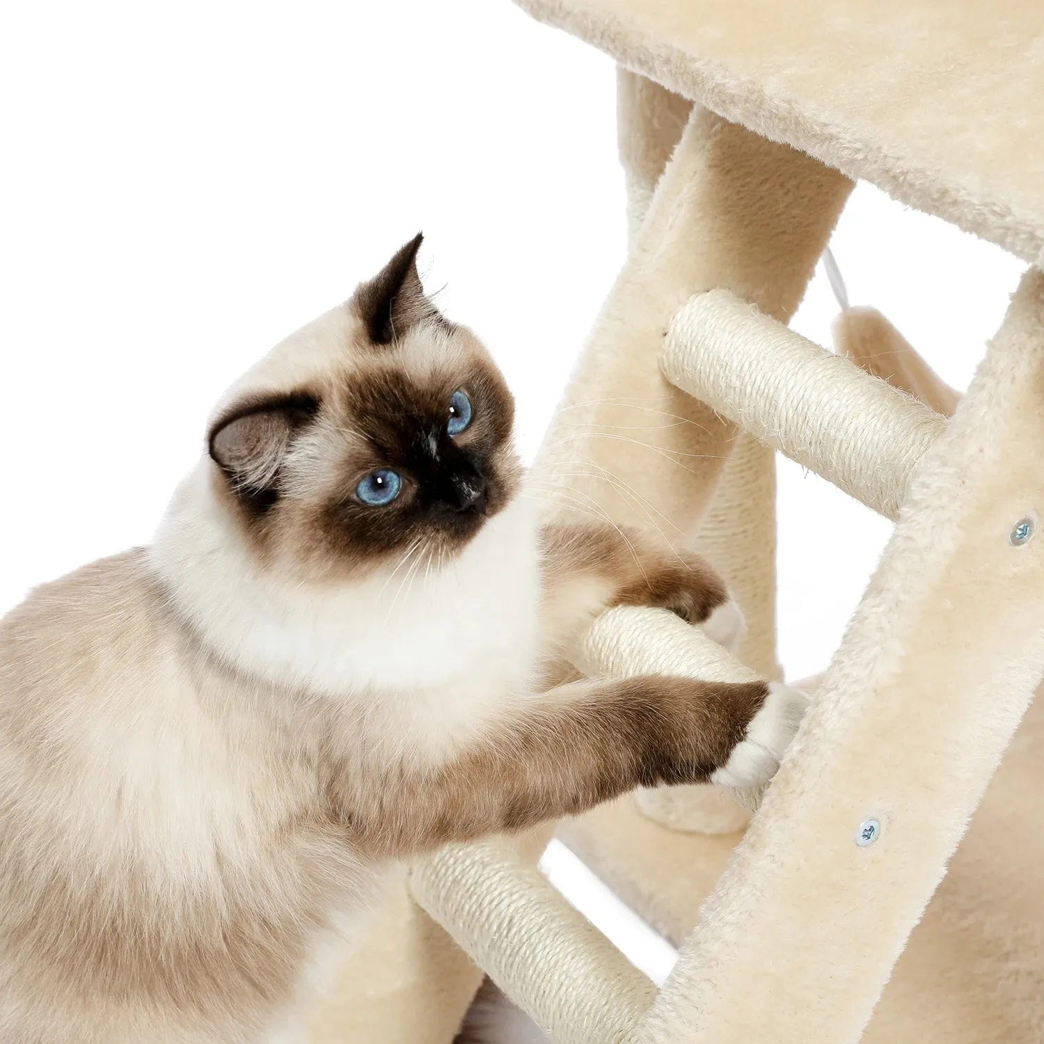 Multi-Level Cat Tree with Condo and Scratching Posts