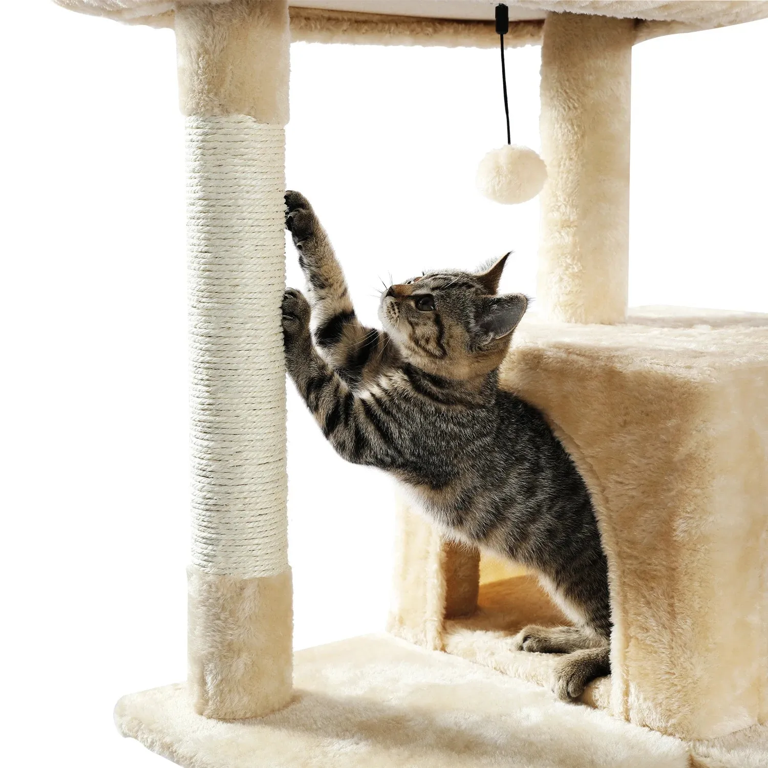 Multi-Level Cat Tree with Condo and Scratching Posts