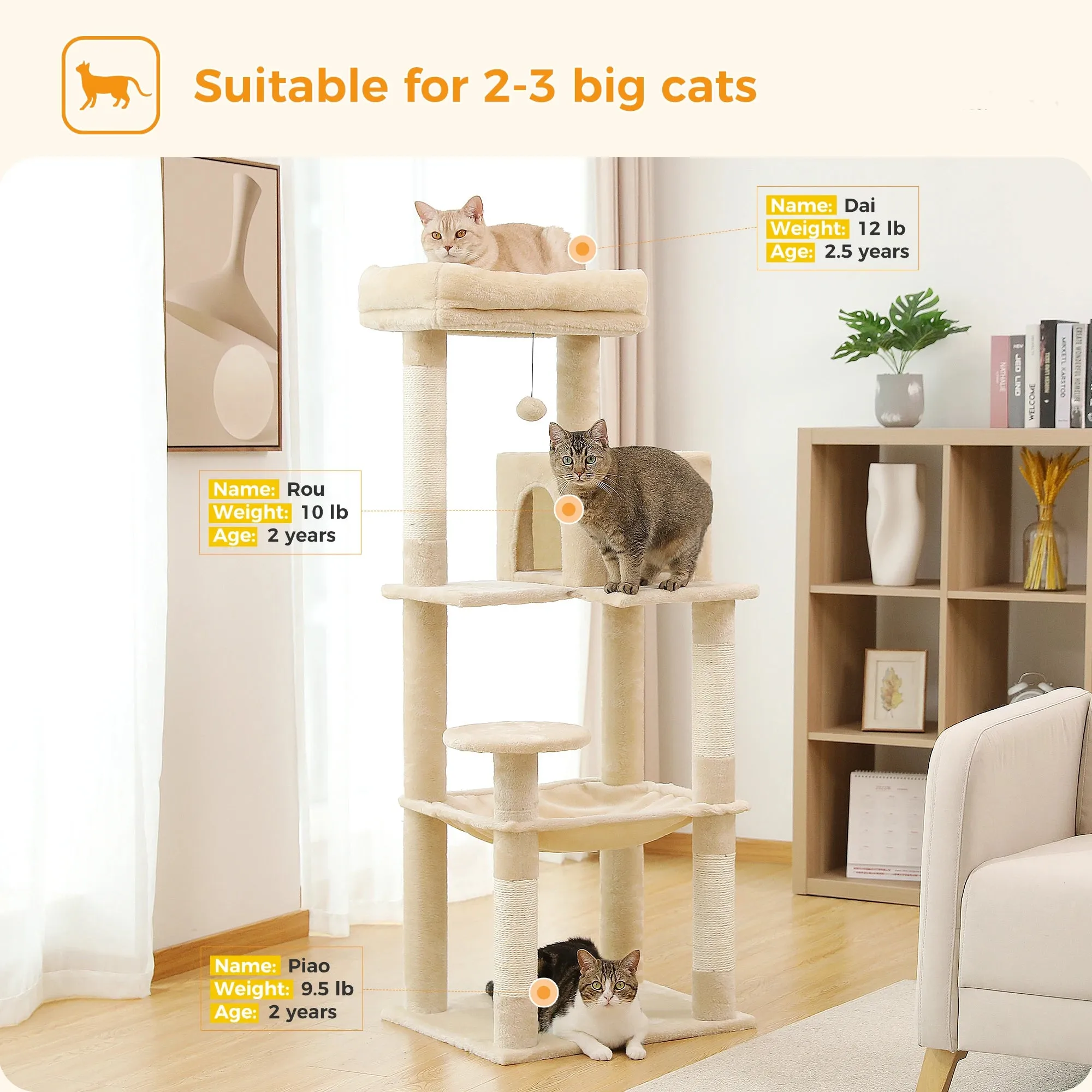 Multi-Level Cat Tree with Condo and Scratching Posts