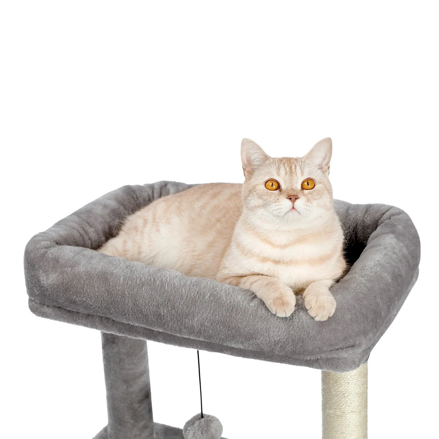 Multi-Level Cat Tree with Condo and Scratching Posts