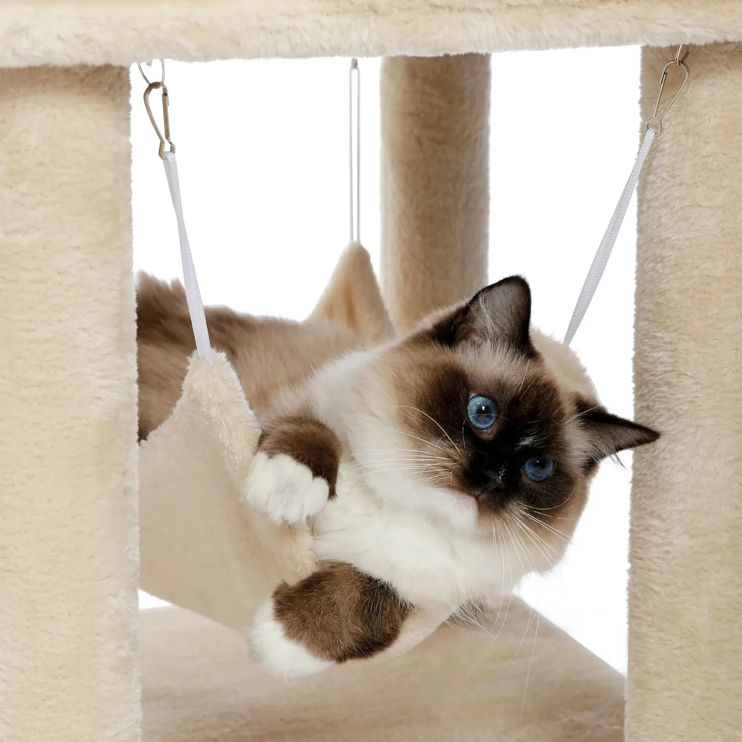 Multi-Level Cat Tree with Condo and Scratching Posts