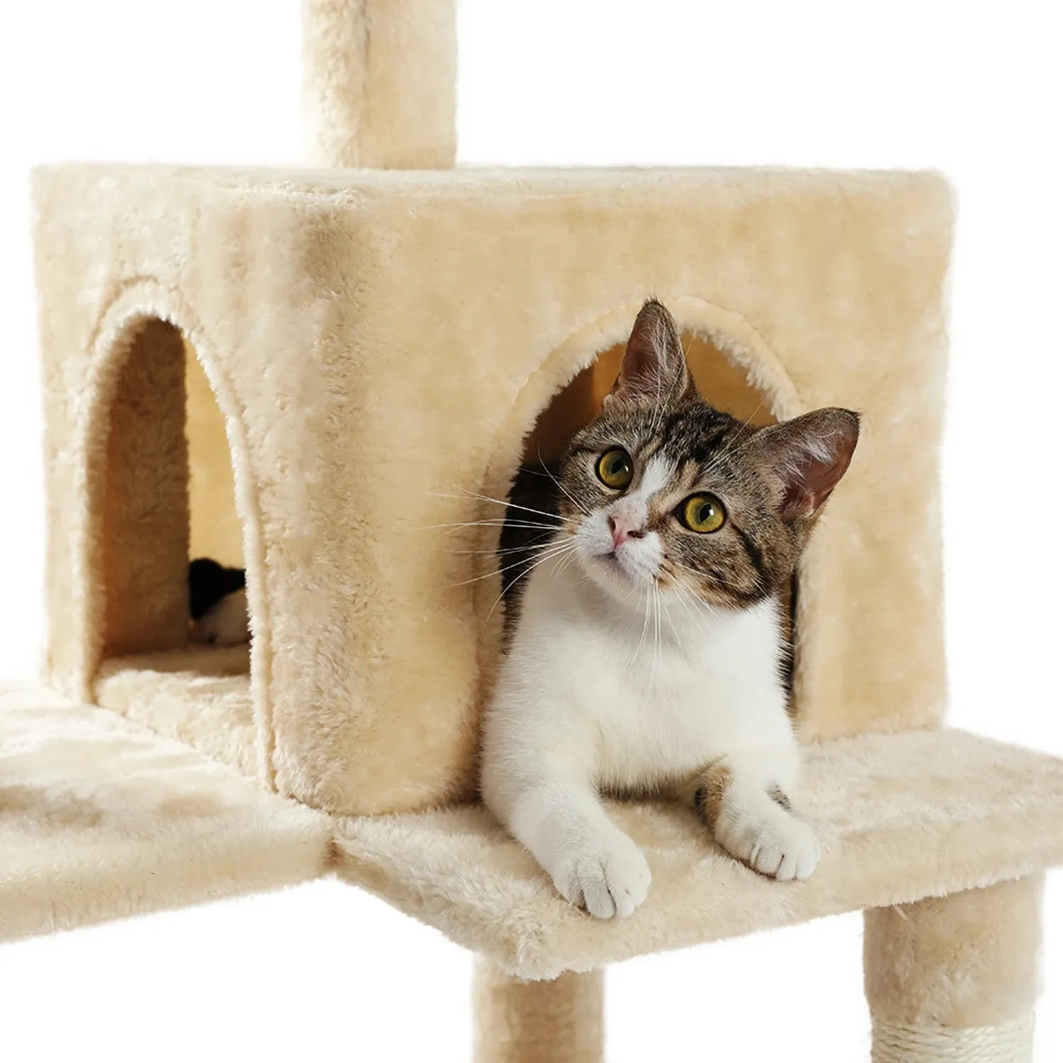 Multi-Level Cat Tree with Condo and Scratching Posts