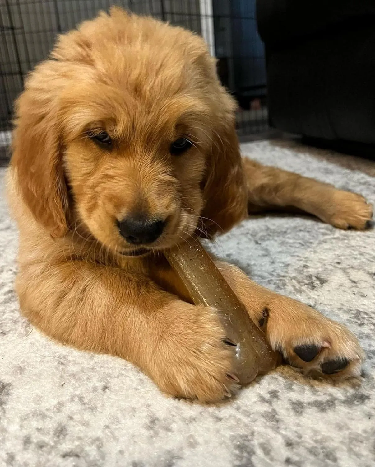 Nylabone Flexi Chew