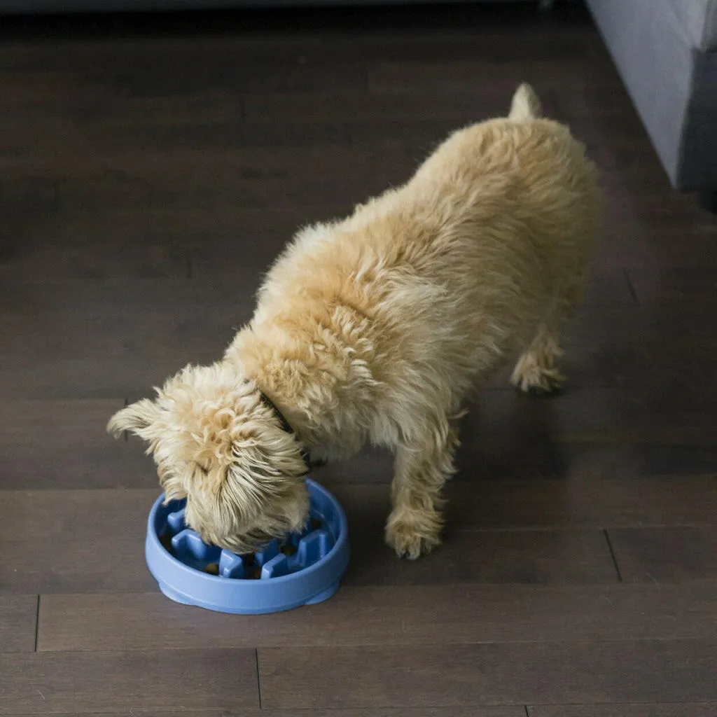 Outward Hound Fun Feeder Slo Bowl Slow Feeder Dog Bowl, Blue