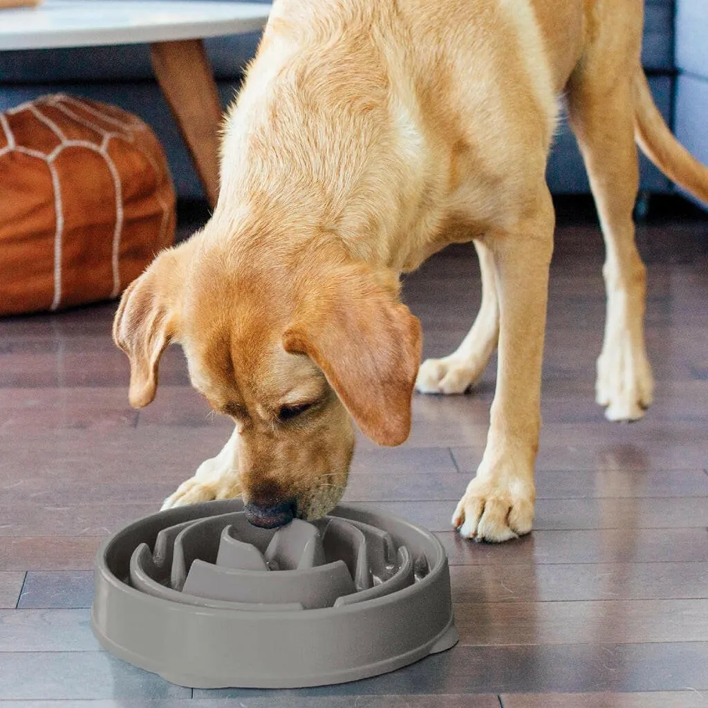 Outward Hound Fun Feeder Slo Bowl Slow Feeder Dog Bowl, Grey Drop