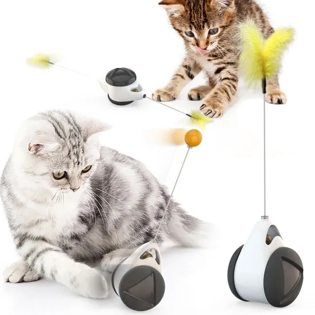 Pet Interactive Entertaining Cat Toy with Catnip Roller Balance Rotating Shape Base