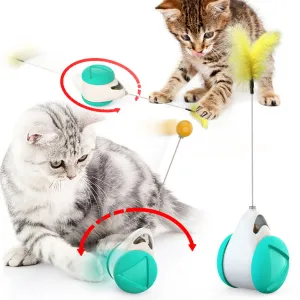 Pet Interactive Entertaining Cat Toy with Catnip Roller Balance Rotating Shape Base