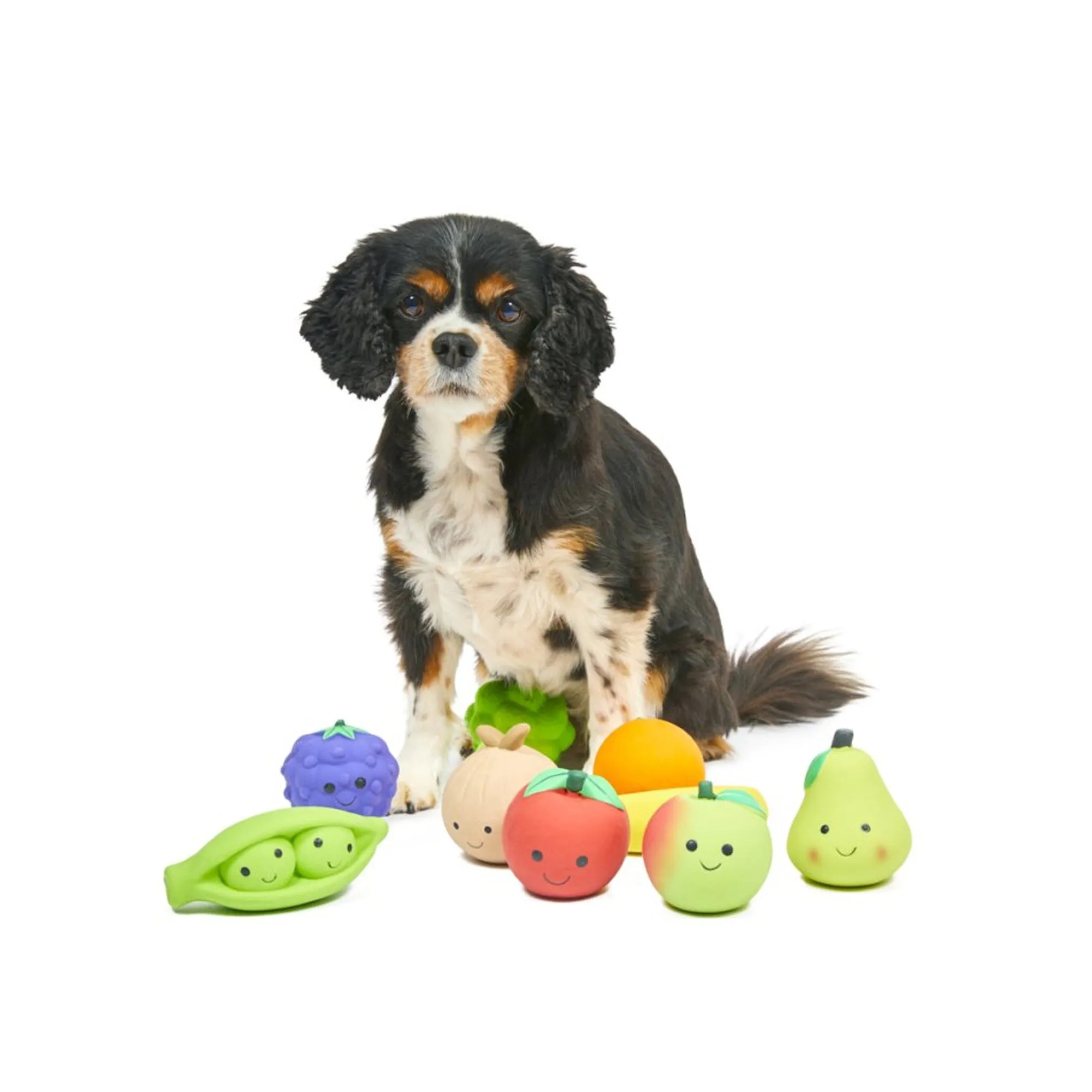 Petface Foodie Faces Latex Apple Dog Toy