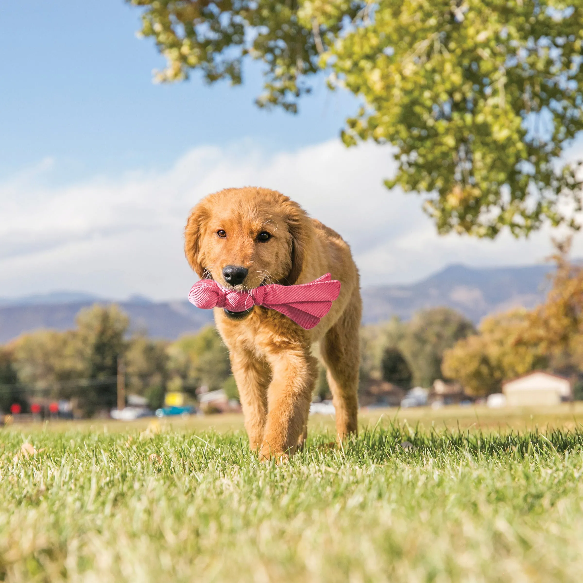 Puppy Wubba Toy (Random Color)