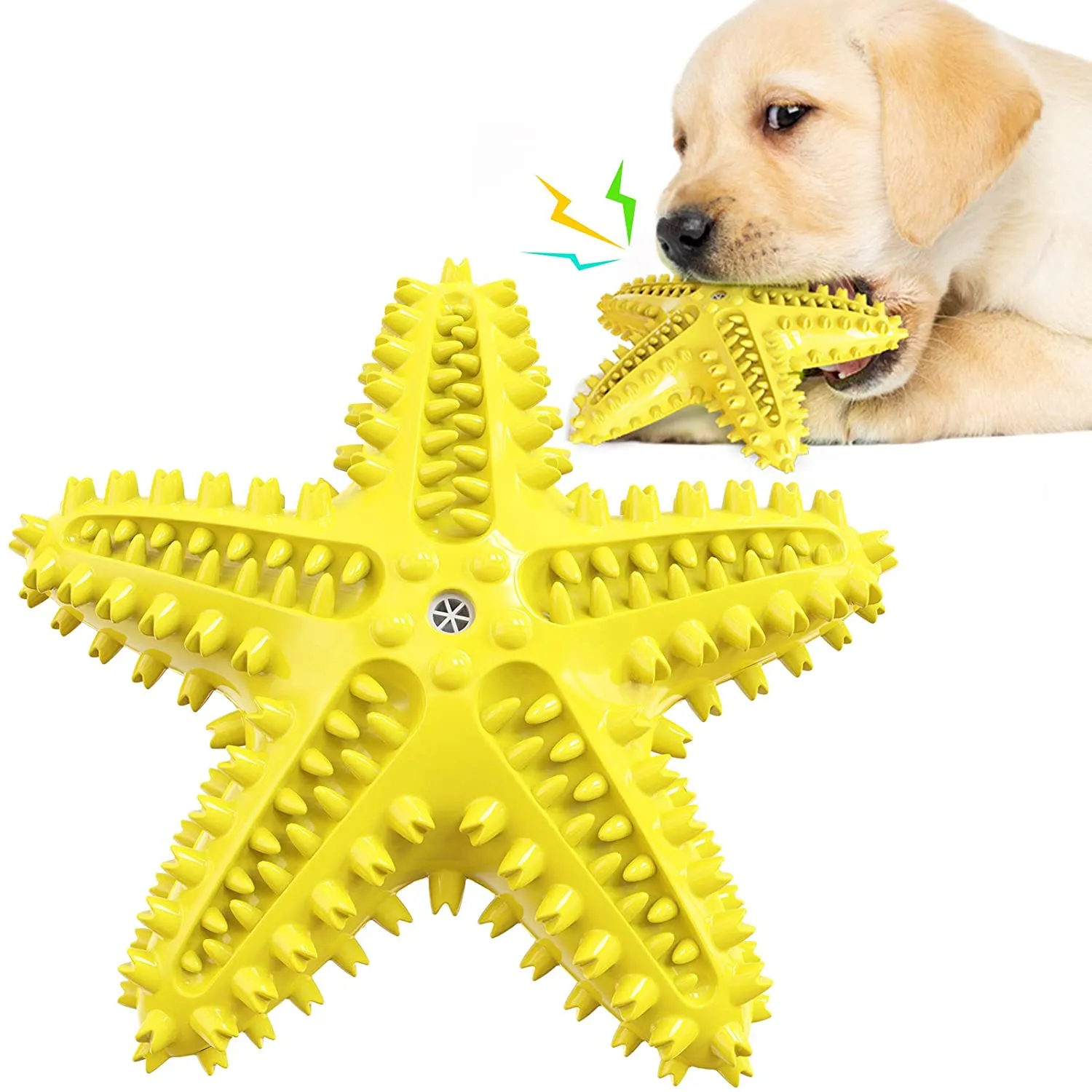 QUMY Dog Chew Toy Starfish Squeaky