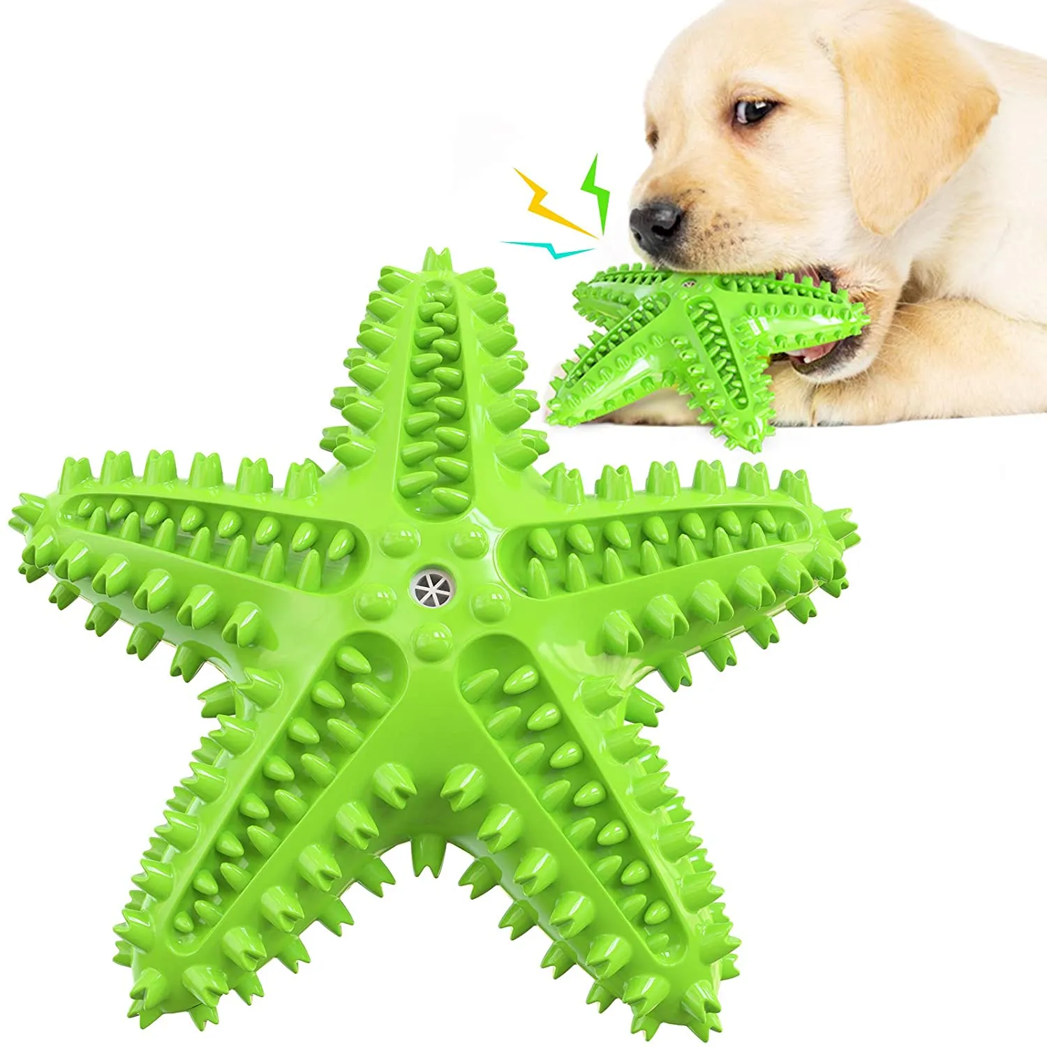 QUMY Dog Chew Toy Starfish Squeaky