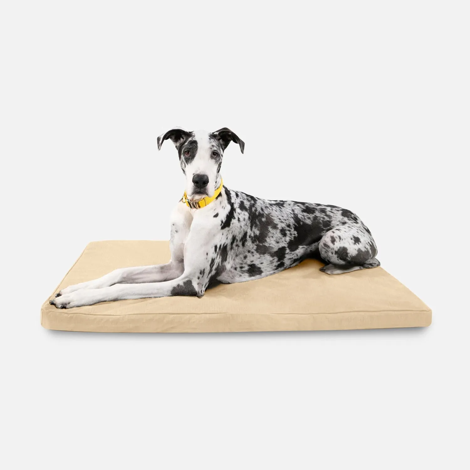 Tough Ripstop™ Orthopedic Dog Crate Bed