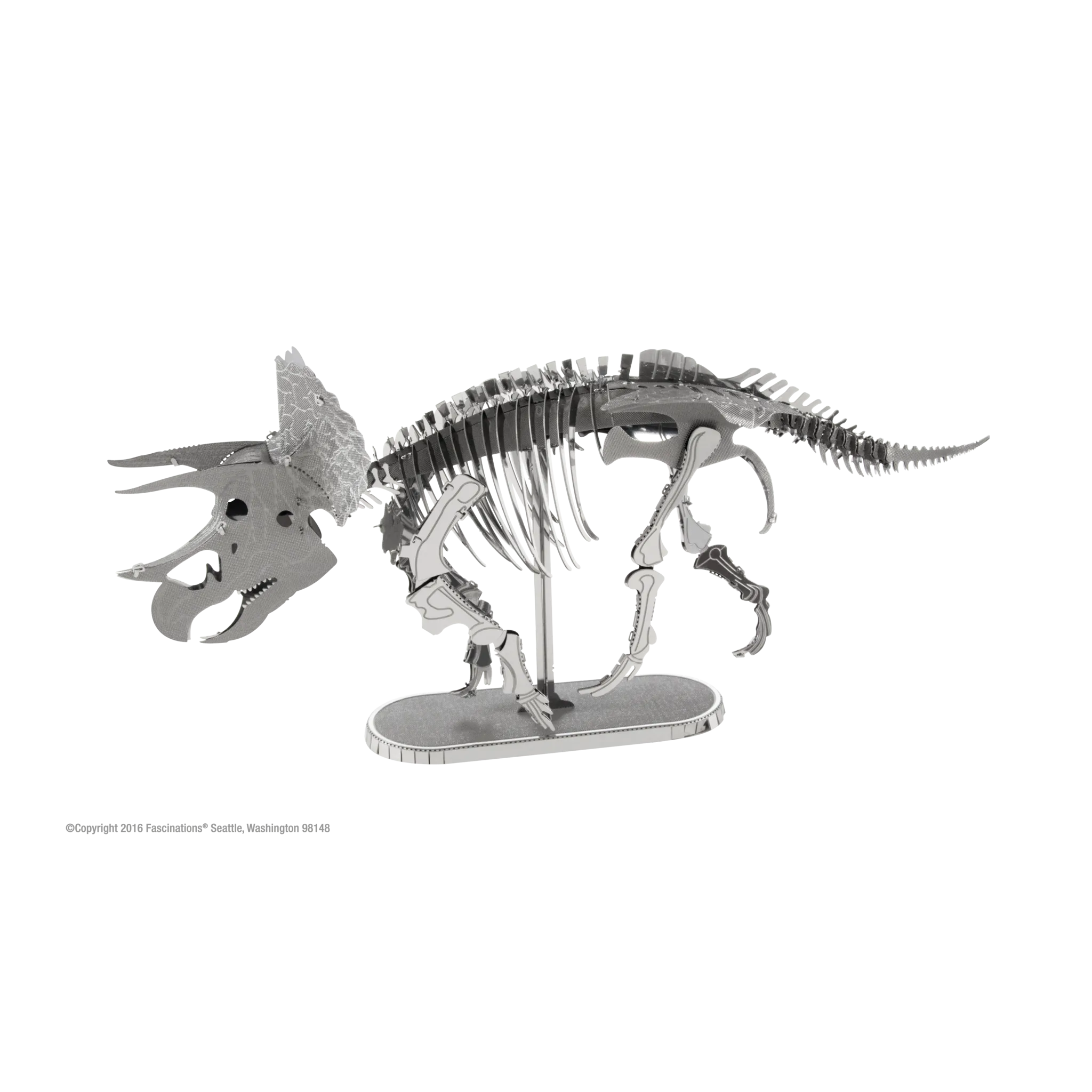 Triceratops Skeleton