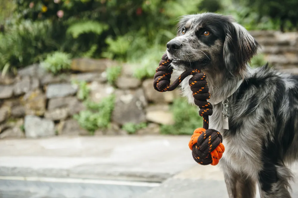 Tug Ball Rope Toy