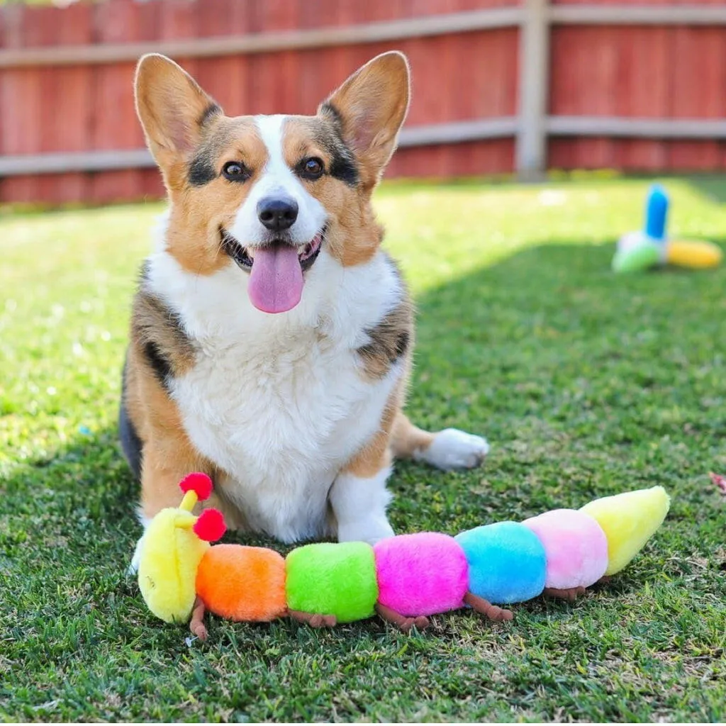 Zippy Paws Caterpillar Rainbow Squeaky Toy for Dogs