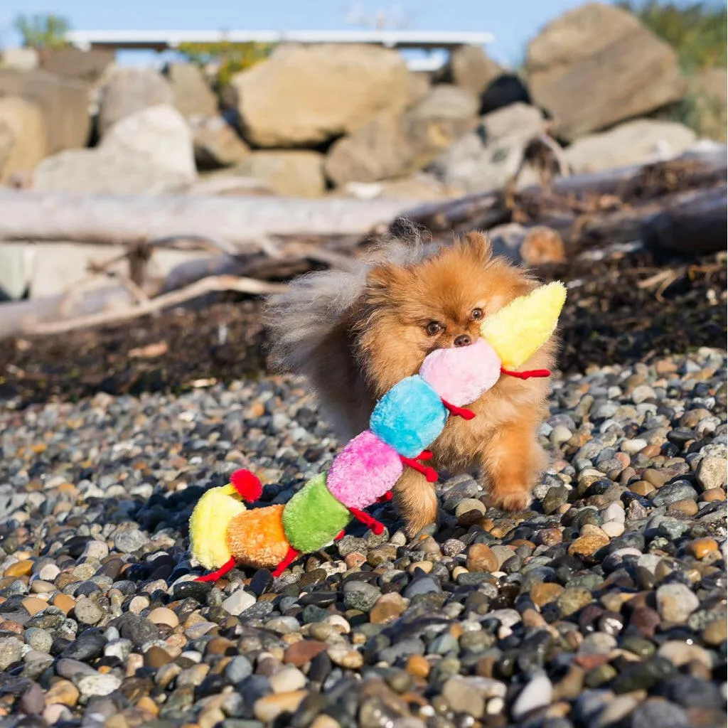 Zippy Paws Caterpillar Rainbow Squeaky Toy for Dogs